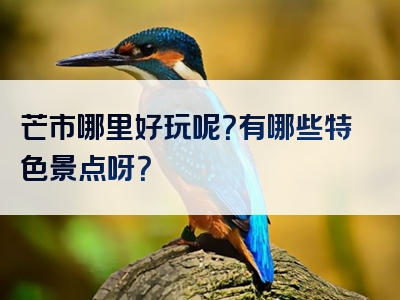 芒市哪里好玩呢？有哪些特色景点呀？