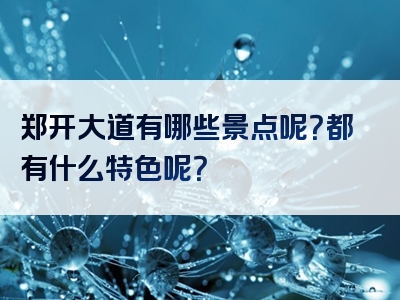 郑开大道有哪些景点呢？都有什么特色呢？