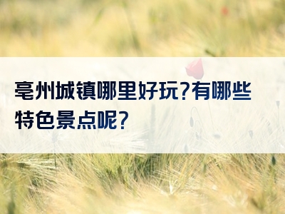 亳州城镇哪里好玩？有哪些特色景点呢？