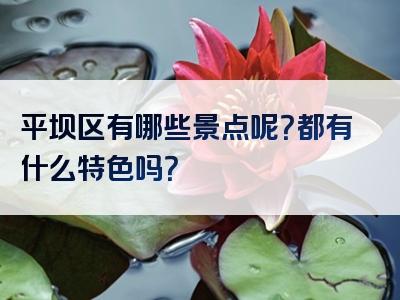平坝区有哪些景点呢？都有什么特色吗？