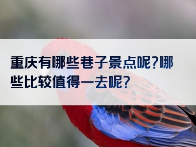 重庆有哪些巷子景点呢？哪些比较值得一去呢？