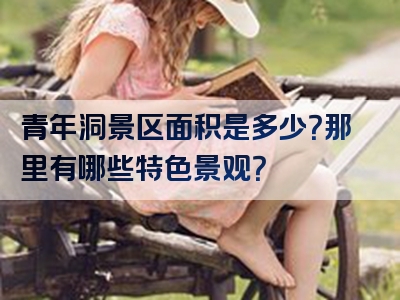 青年洞景区面积是多少？那里有哪些特色景观？