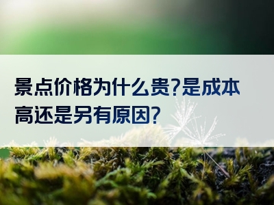 景点价格为什么贵？是成本高还是另有原因？