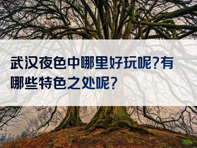 武汉夜色中哪里好玩呢？有哪些特色之处呢？