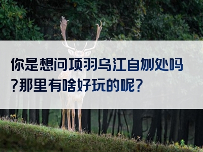 你是想问项羽乌江自刎处吗？那里有啥好玩的呢？