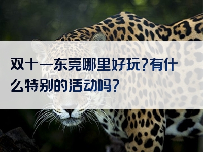 双十一东莞哪里好玩？有什么特别的活动吗？