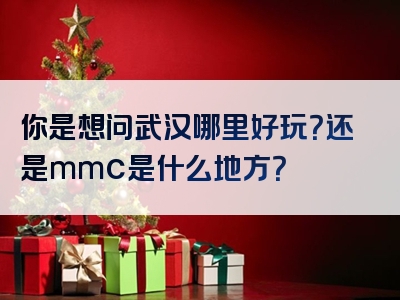 你是想问武汉哪里好玩？还是mmc是什么地方？