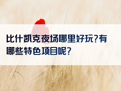 比什凯克夜场哪里好玩？有哪些特色项目呢？