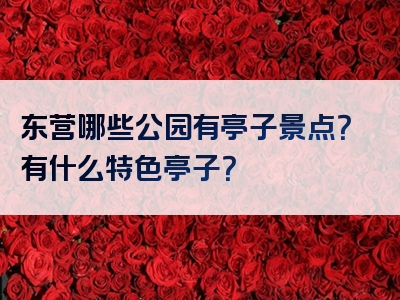 东营哪些公园有亭子景点？有什么特色亭子？