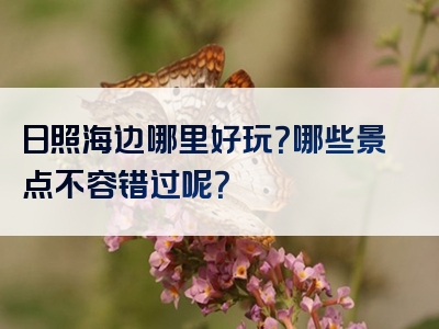 日照海边哪里好玩？哪些景点不容错过呢？