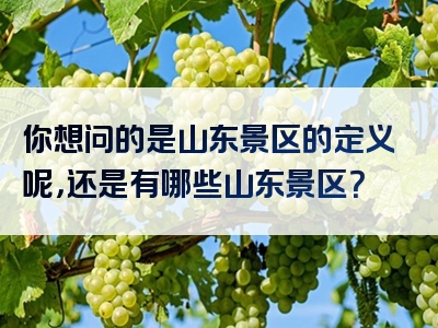 你想问的是山东景区的定义呢，还是有哪些山东景区？