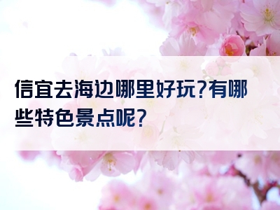 信宜去海边哪里好玩？有哪些特色景点呢？