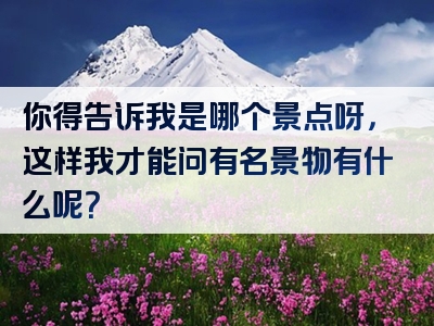 你得告诉我是哪个景点呀，这样我才能问有名景物有什么呢？