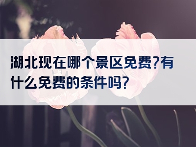 湖北现在哪个景区免费？有什么免费的条件吗？