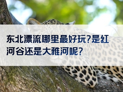 东北漂流哪里最好玩？是红河谷还是大雅河呢？