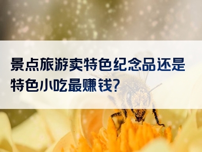 景点旅游卖特色纪念品还是特色小吃最赚钱？