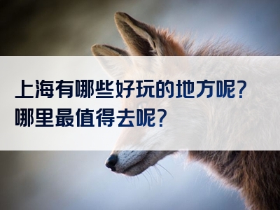 上海有哪些好玩的地方呢？哪里最值得去呢？