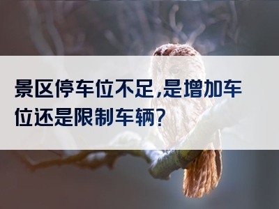 景区停车位不足，是增加车位还是限制车辆？