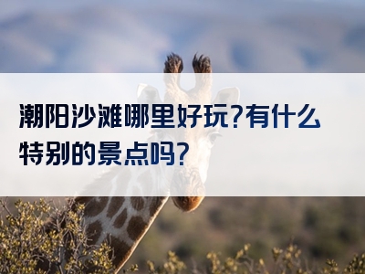 潮阳沙滩哪里好玩？有什么特别的景点吗？