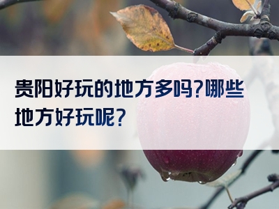 贵阳好玩的地方多吗？哪些地方好玩呢？
