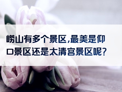 崂山有多个景区，最美是仰口景区还是太清宫景区呢？