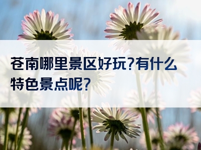 苍南哪里景区好玩？有什么特色景点呢？