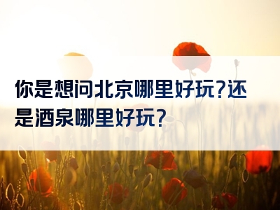 你是想问北京哪里好玩？还是酒泉哪里好玩？