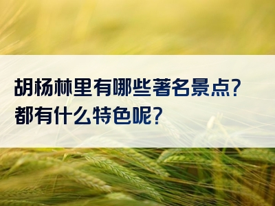 胡杨林里有哪些著名景点？都有什么特色呢？