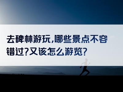 去碑林游玩，哪些景点不容错过？又该怎么游览？