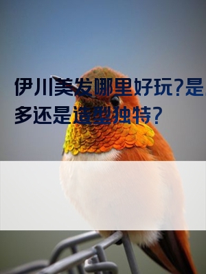 伊川美发哪里好玩？是店铺多还是造型独特？