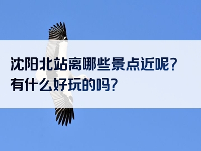 沈阳北站离哪些景点近呢？有什么好玩的吗？
