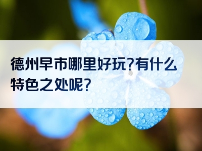 德州早市哪里好玩？有什么特色之处呢？