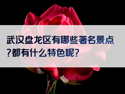 武汉盘龙区有哪些著名景点？都有什么特色呢？