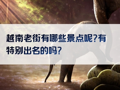 越南老街有哪些景点呢？有特别出名的吗？