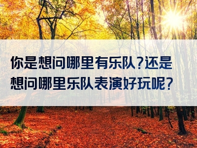 你是想问哪里有乐队？还是想问哪里乐队表演好玩呢？
