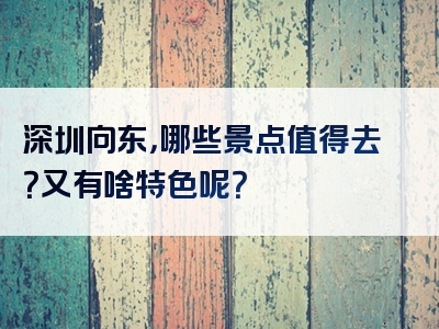 深圳向东，哪些景点值得去？又有啥特色呢？