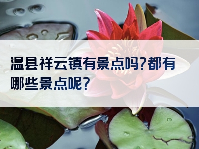温县祥云镇有景点吗？都有哪些景点呢？
