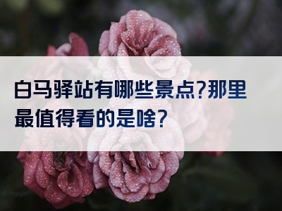 白马驿站有哪些景点？那里最值得看的是啥？