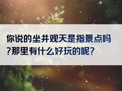 你说的坐井观天是指景点吗？那里有什么好玩的呢？