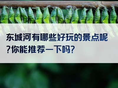 东城河有哪些好玩的景点呢？你能推荐一下吗？
