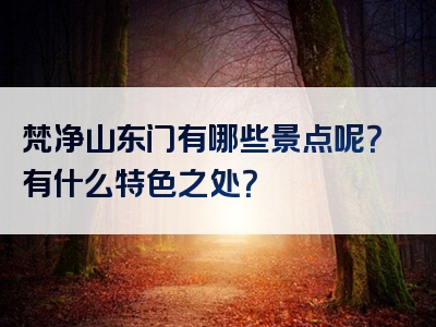梵净山东门有哪些景点呢？有什么特色之处？