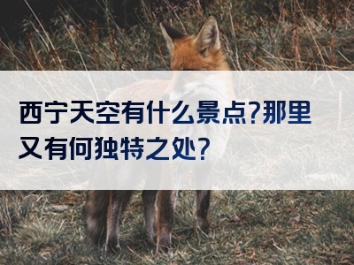 西宁天空有什么景点？那里又有何独特之处？