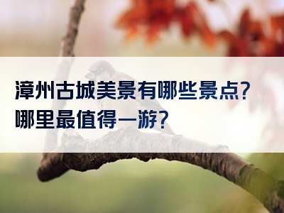 漳州古城美景有哪些景点？哪里最值得一游？