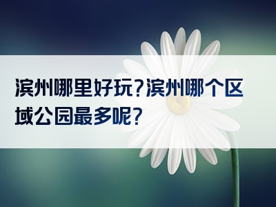 滨州哪里好玩？滨州哪个区域公园最多呢？