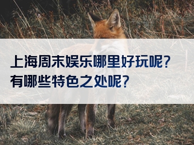 上海周末娱乐哪里好玩呢？有哪些特色之处呢？