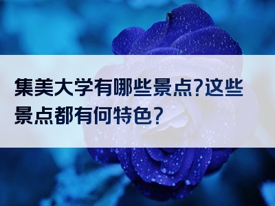 集美大学有哪些景点？这些景点都有何特色？