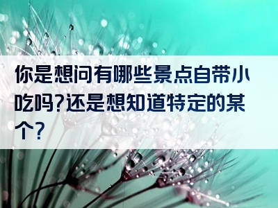 你是想问有哪些景点自带小吃吗？还是想知道特定的某个？