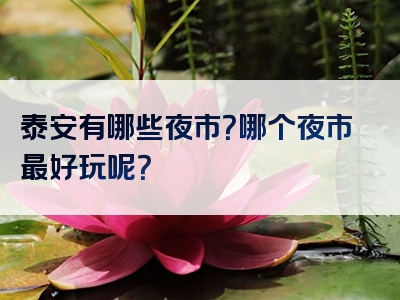 泰安有哪些夜市？哪个夜市最好玩呢？