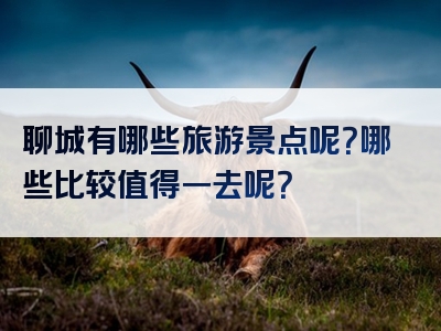 聊城有哪些旅游景点呢？哪些比较值得一去呢？