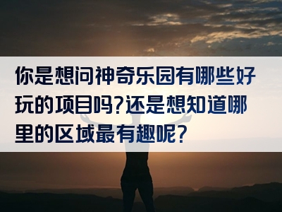 你是想问神奇乐园有哪些好玩的项目吗？还是想知道哪里的区域最有趣呢？